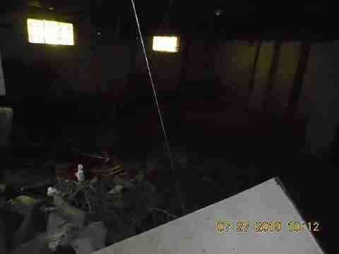 16737 Dolphin (34)_m.jpg